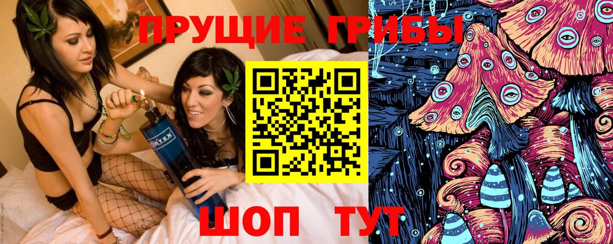 Новокуйбышевск  Псилоцибиновые грибы мицелий  Вход с VPN  Псилоцибиновые грибы Psilocybe 
